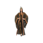 Orange Brown ladies Dress